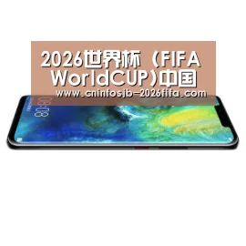华为无线快充手机
