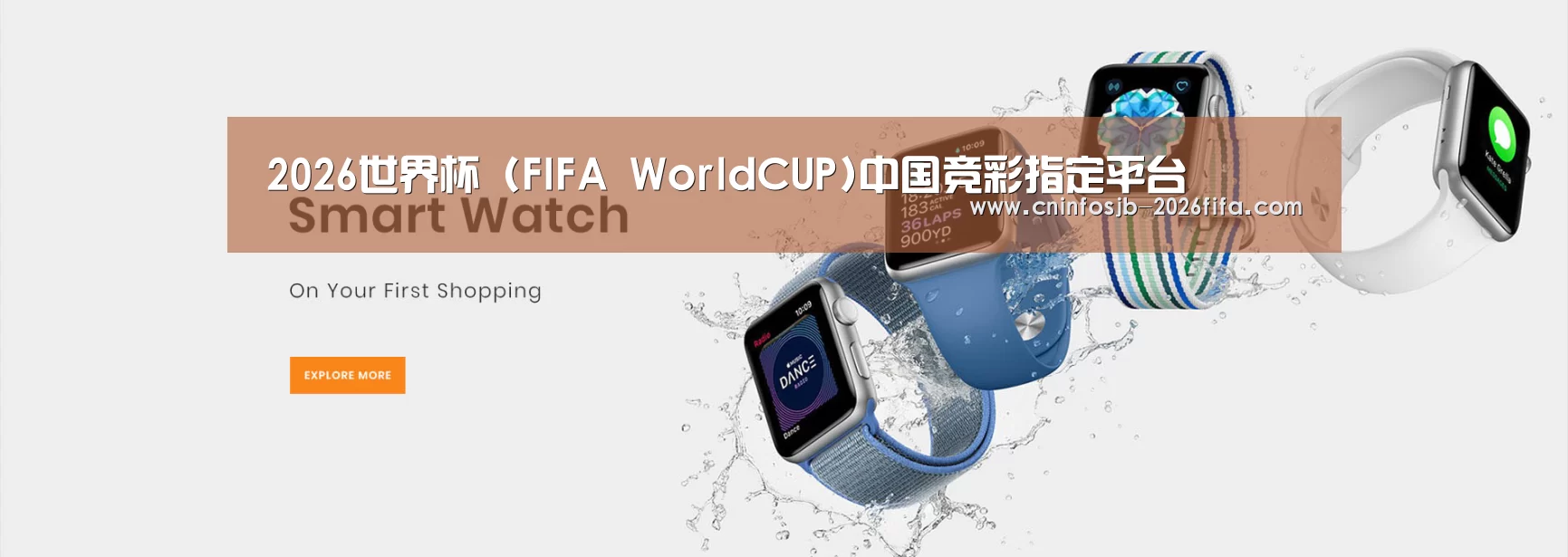 某某网络科技有限公司