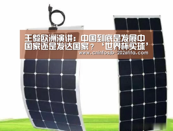 王毅欧洲演讲:中国到底是发展中国家还是发达国家?‘世界杯买球’(图3) 世界杯买球