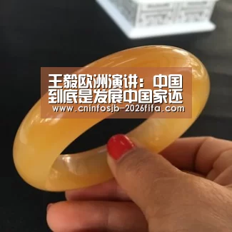 王毅欧洲演讲:中国到底是发展中国家还是发达国家?‘世界杯买球’(图2) 世界杯买球网站