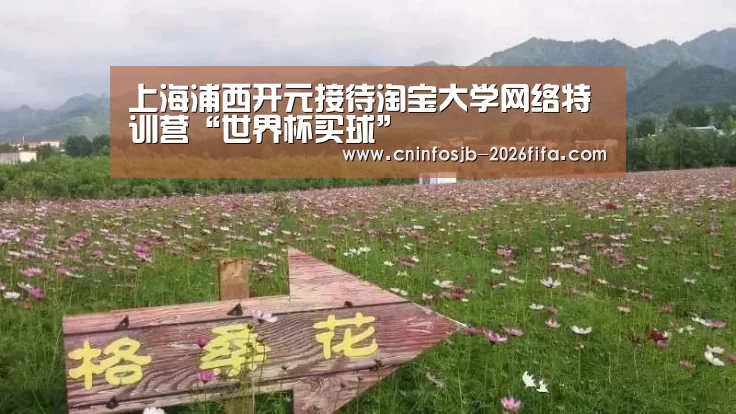 上海浦西开元接待淘宝大学网络特训营“世界杯买球”(图2) 世界杯买球