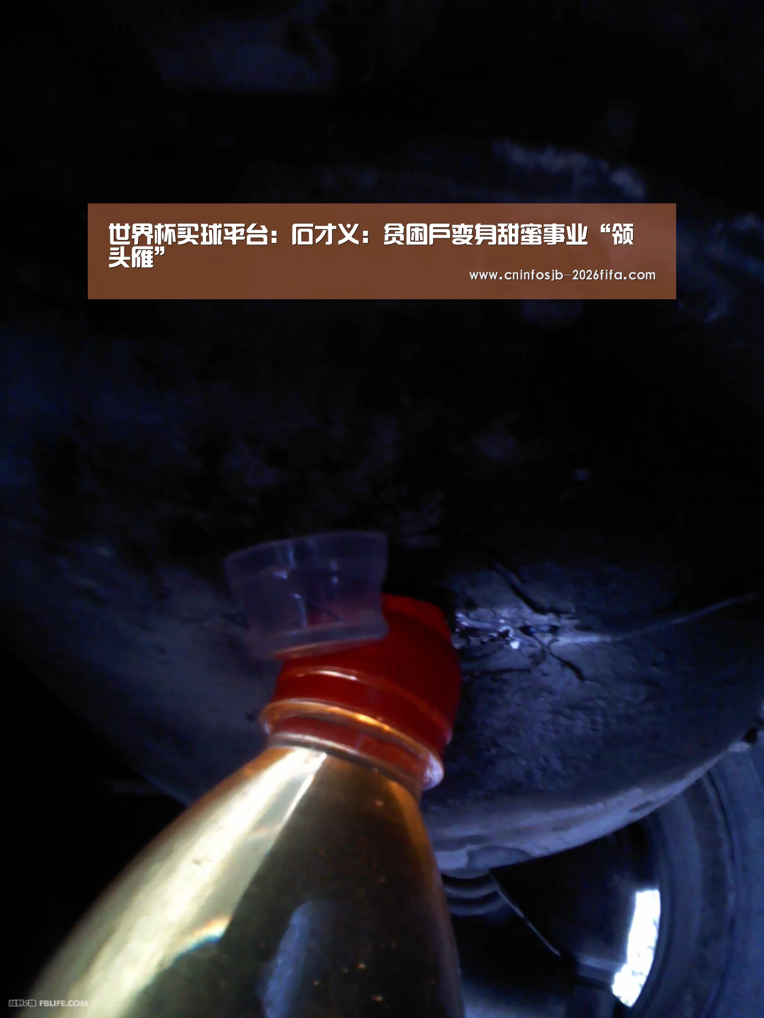世界杯买球平台:石才义:贫困户变身甜蜜事业“领头雁”(图4) 世界杯买球网站