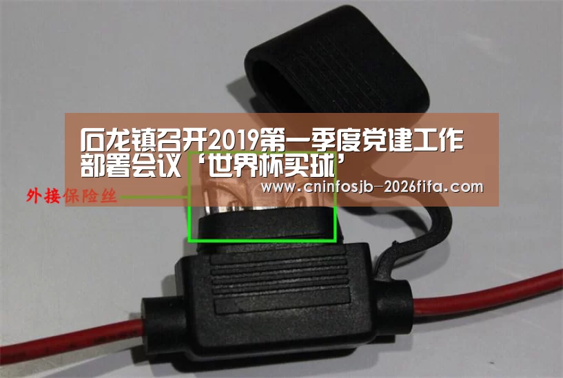 石龙镇召开2019第一季度党建工作部署会议‘世界杯买球’(图1) 世界杯买球网站